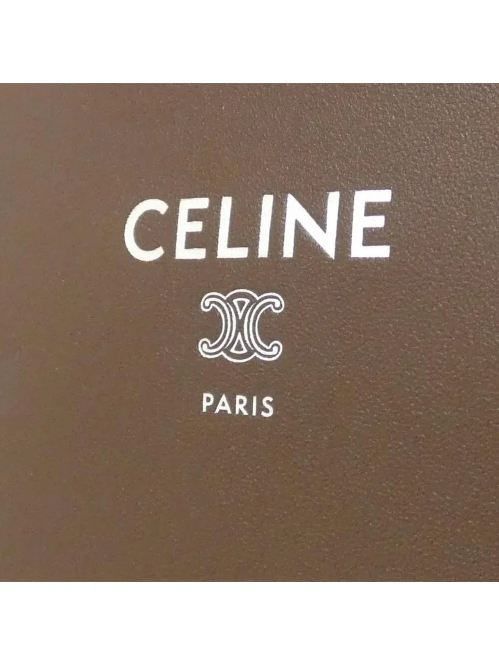 Celine Sharp Pouch Shoulder Bag
